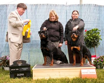 father & Son OKC Dog show May 26 2013. Eddie just shy of 8 months
