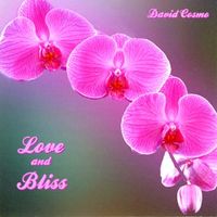 Love and Bliss by David Cosmo