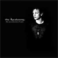 The Second Verse Of Zeen by The Awakening