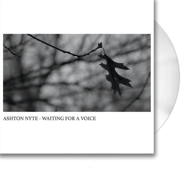 Ashton Nyte - Waiting For A Voice (Vinyl)