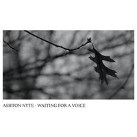 Waiting For A Voice by Ashton Nyte