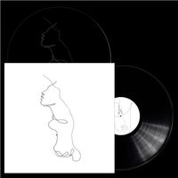The Faintest Idea: SIGNED DOUBLE VINYL ALBUM WITH D-SIDE ETCHING