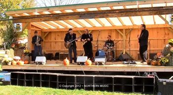 Marty Beecy & The Rogue Loons at The Bolton Rock & Blues Festival
