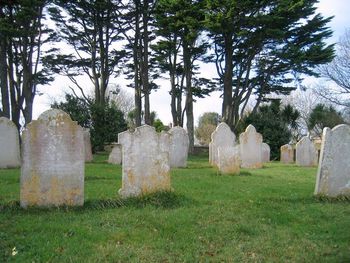 The graveyard
