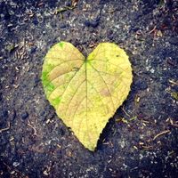 Writing from the Heart: A Contemplative Writing Retreat with Melinda Rothouse & Mayela Padilla Manasjan