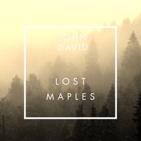 Lost Maples by John David
