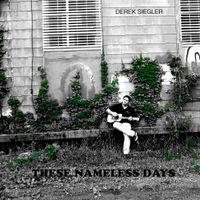 These Nameless Days by Derek Siegler