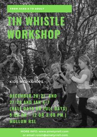 Tin Whistle Workshop for Kids (ONE DAY) // (HALF DAY)
