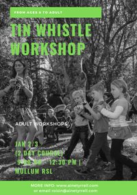 Tin Whistle Workshop for ADULTS - TWO DAY COURSE