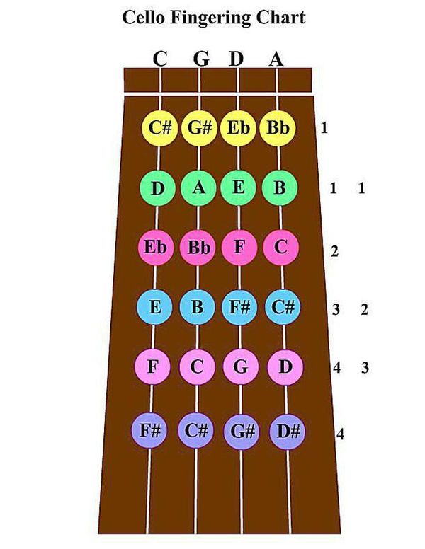 Cello 1st position fingering chart