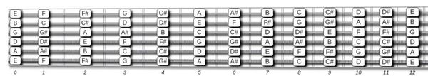 Fretboard Layout