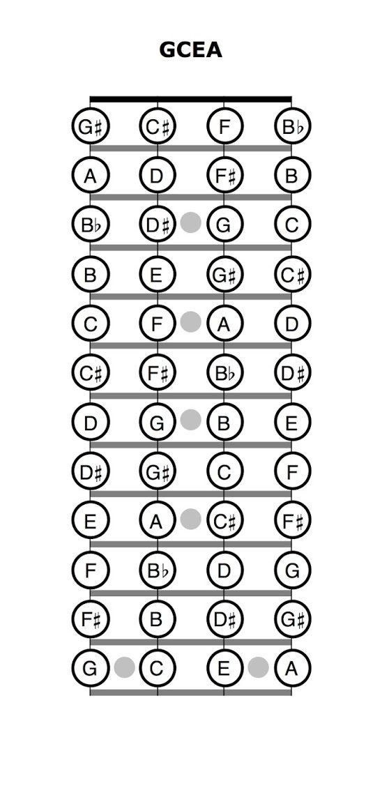 Notes on the Fretboard