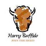 Harry Buffalo - Painesville