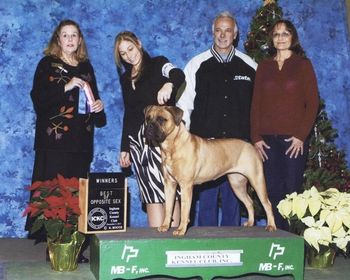 Pandora's Shop Til You Drop "Macy" with breeder Kristen Wetzel at the Ingham County Kennel Club 12/2011. Macy gets Winners Bitch and BOW at her very first show.
