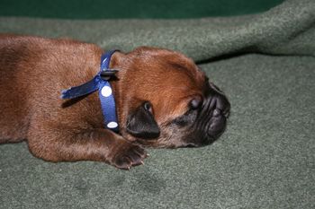 Brady (blue polka dot boy) napping.
