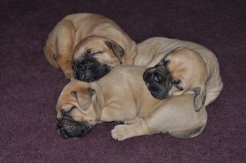 Three beautiful girls!
