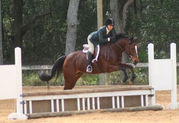 SEC Jan 2012, Eq. and Hunter Champion in the Children's Pony division.
