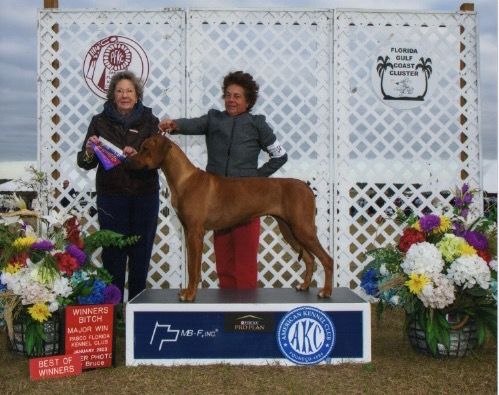 Terra Christa Farm - Show time