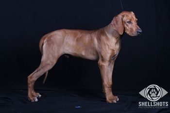 Terra Christa Farm - Our Pride