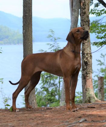 Terra Christa Farm - Our Pride