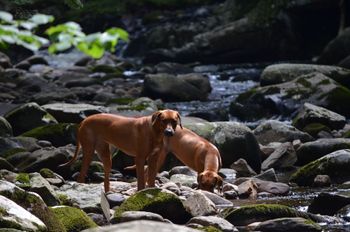 Terra Christa Farm - Our Pride