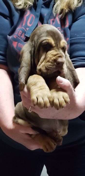 Here I am! 2/22/19
