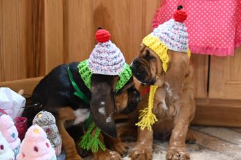 green ribbon and red ribbon (yellow hat) out take at professional photo shoot 4/22/21
