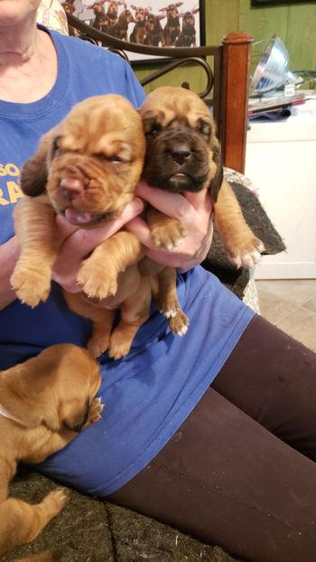 white dot on left and black paw on right at 15 days 8.26.20
