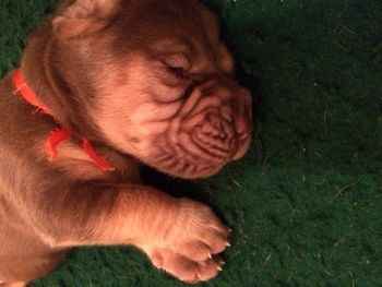 orange ribbon female 10/25/15
