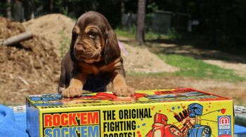 Pink Dot Ribbon Female 4 weeks 7/1/16
