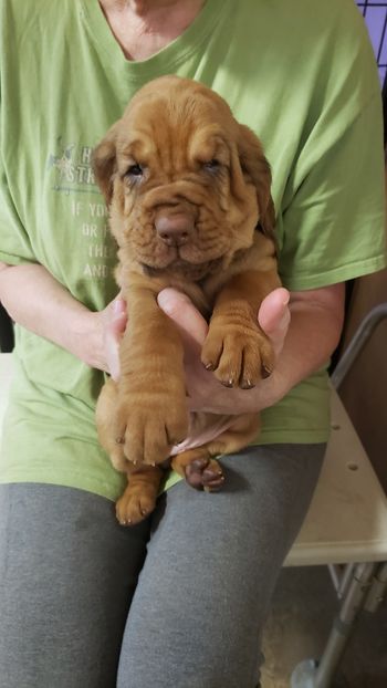 White Dot Female 4 weeks 9/9/20
