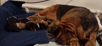 01/23/23 home after emergency C Section
