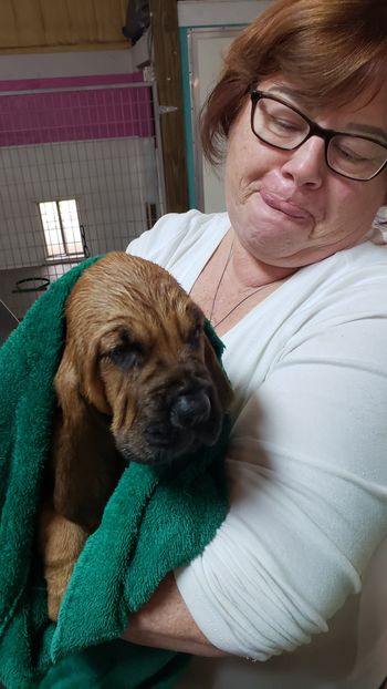 Pink Ribbon Female 1st bath 6 weeks 4/16/21
