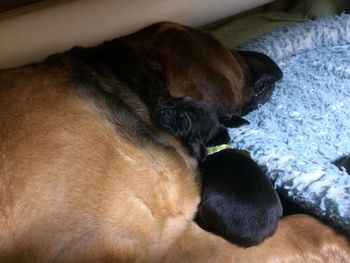 a momma and her son 5/31/17
