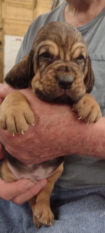 white male 4 weeks 061722
