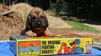 Green Dot Female 4 weeks 7/1/16
