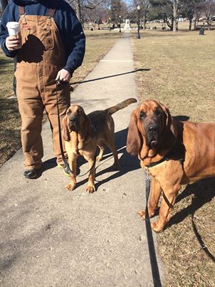 Ella and Elmer - two of our babies! 4/1/14
