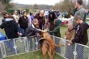 Chloe and Cleo at a Forest Fire Dept event meeting over 1500 people! 3/31/12
