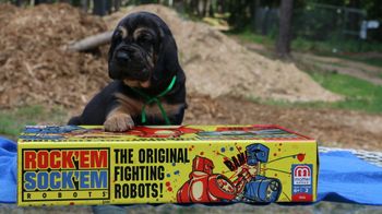 Green Ribbon Male 4 weeks 7/1/16
