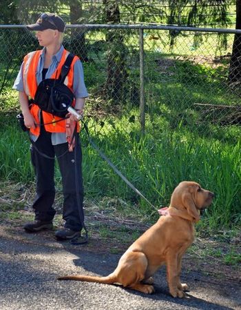 Willow and Faith waiting to go find someone! 4/22/12
