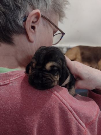 Blue male 1 week 2/16/22
