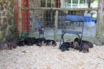 Entire group resting! 7/16/16
