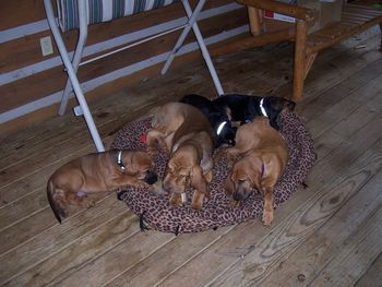 Of course, 4 beds but they all had to get into one ...
