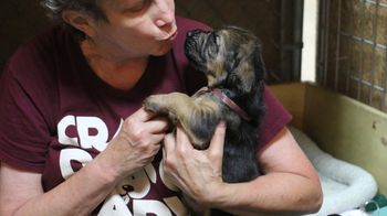 Gettin some lovin'! 6/19/17
