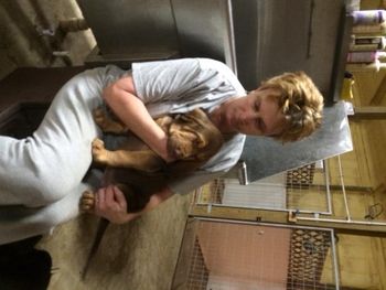 Brown RIbbon Female 7 weeks old 11/28/15

