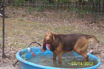 I spend alot of time in the pool! 7/14/12
