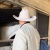 Yellowstone Silver Belly (J. Marc Bailey Signature Branded) Cowboy Hat by Gone Country Hat Co.