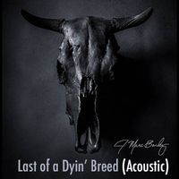Last of a Dyin' Breed (Acoustic Version) by J. Marc Bailey