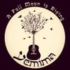 A Full Moon Is Rising: CD