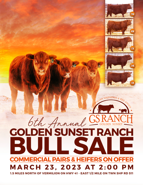 CLICK TO VIEW THE CATALOG